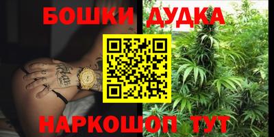 индика Конаково